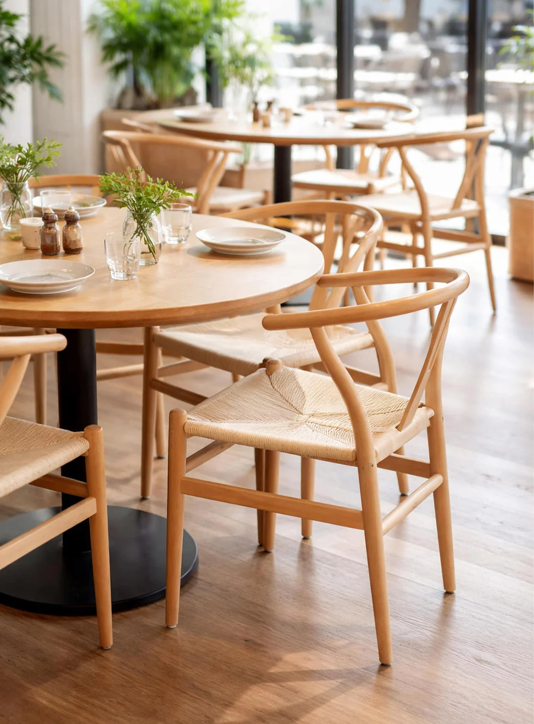 Image with text section